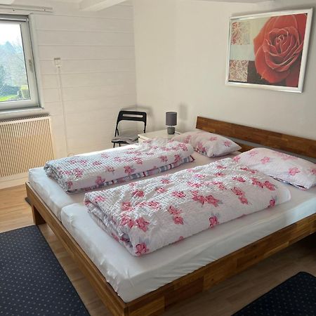 Gemuetliche Ferienwohnung Im Altbau Goslar Extérieur photo